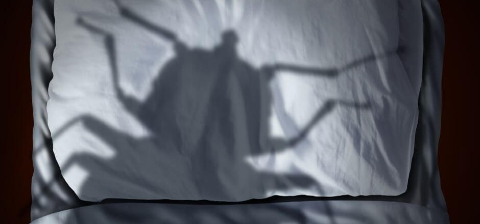 % Bottom Line Bottom Line