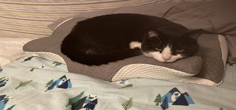 % Is it better for your neck to sleep without a pillow Is it better for your neck to sleep without a pillow