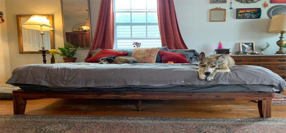 % The 7 Best Bed Frames For Latex Mattresses The 7 Best Bed Frames For Latex Mattresses